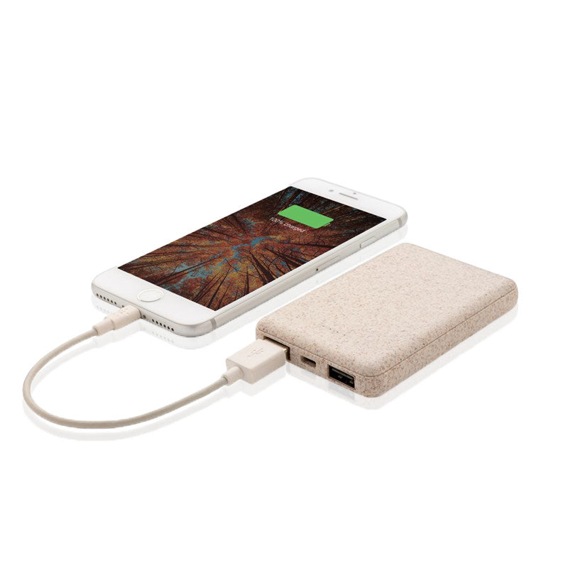 פאנטום סוללת גיבוי קומפקטית