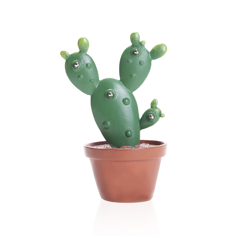 קקטוס מעמד ממו שולחני